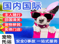 海浪机场货运国际宠物托运 【国